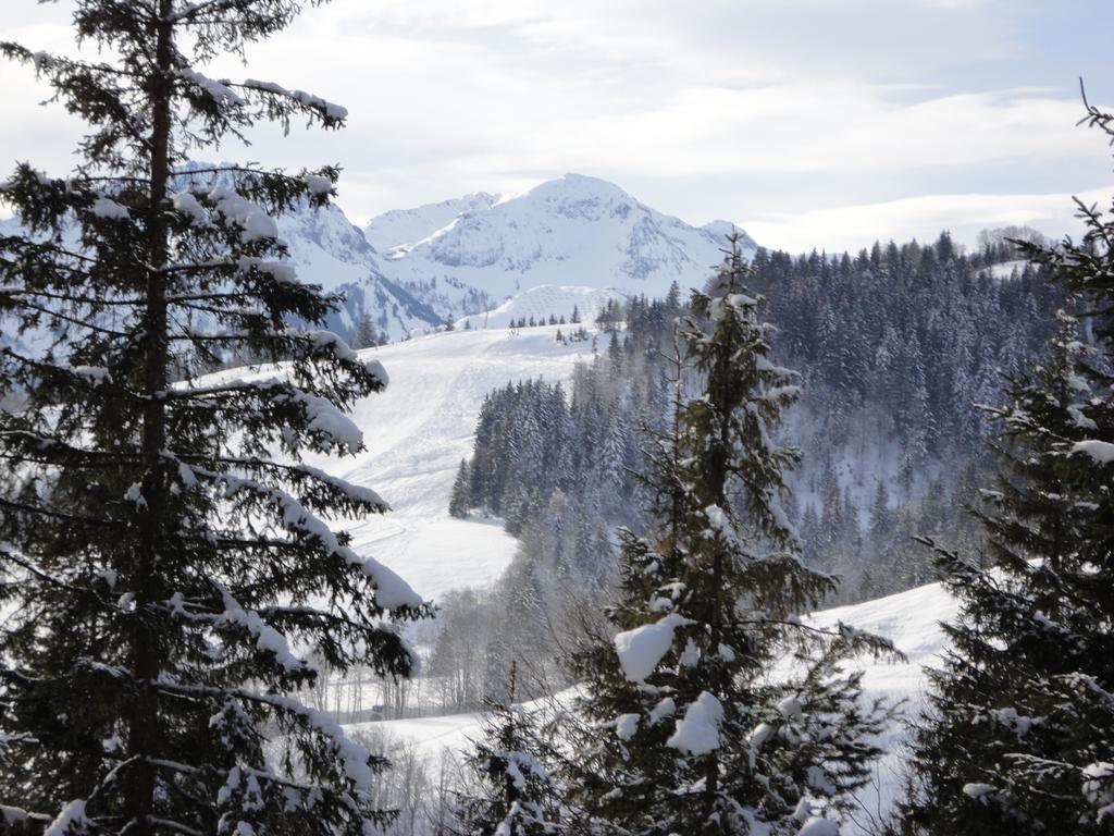 Ferienwohnungen Vordergriess Hochfilzen Exterior photo